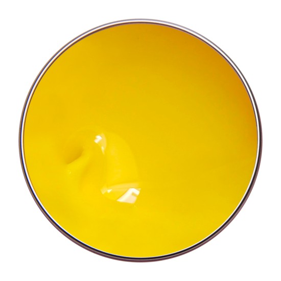 PAINTING GEL SUNNY YELLOW 3g