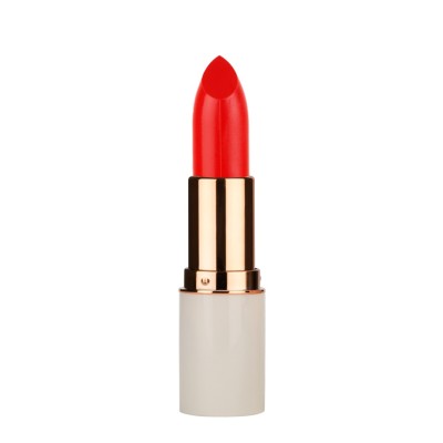 Κραγιόν MD Professionnel Volume Up Lipstick  01 5gr