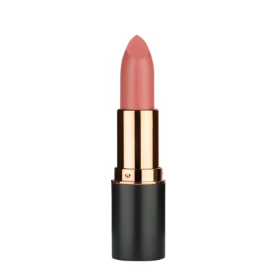 Κραγιόν MD Professionnel Volume Up Matte Lipstick  120 5gr
