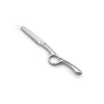 Ξυράφι Μεταλλικό Κουρέματος TWO-IN-ONE Razor σε Θήκη 